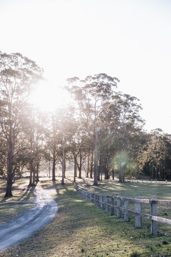 Worrowing Jervis Bay Hotel Хъскисън Екстериор снимка