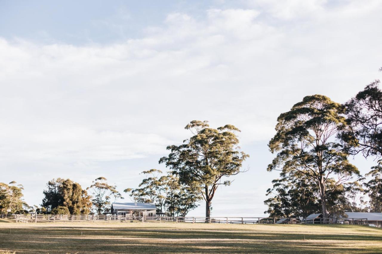 Worrowing Jervis Bay Hotel Хъскисън Екстериор снимка